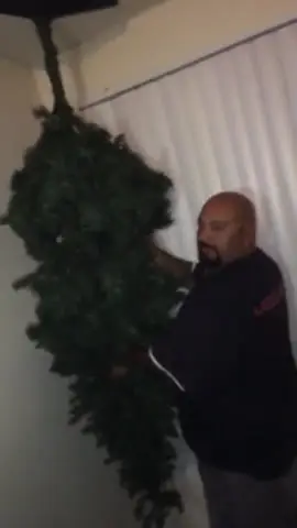 6bcf7837-362e-4782-8629-7aaf569db509